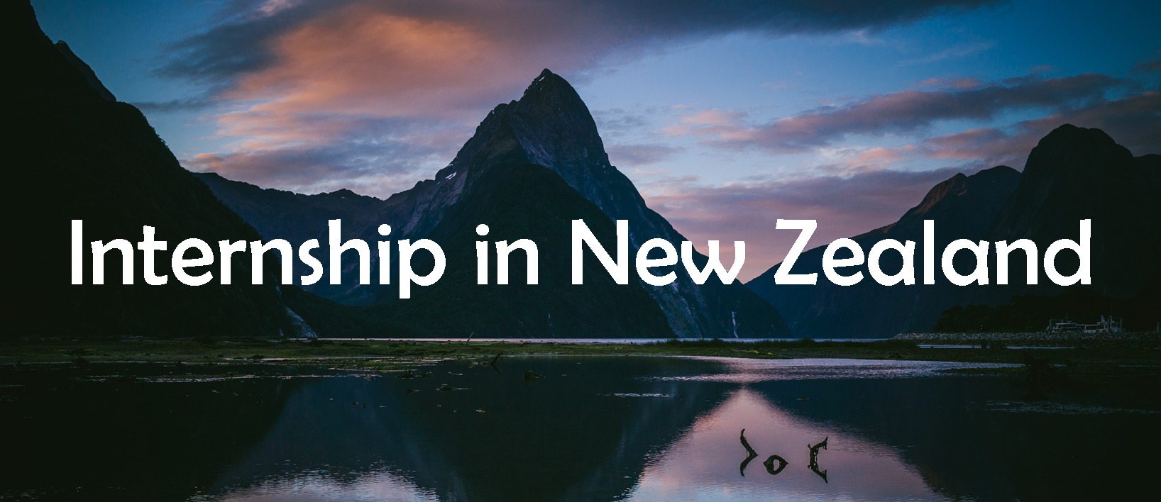 Internship di New zealand: Cara dan Manfaatnya